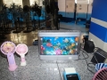 Filename=00110~0.jpeg
Filesize=306KiB
Dimensions=1200x900
Date added=Apr 30, 2025 00110~0.jpeg